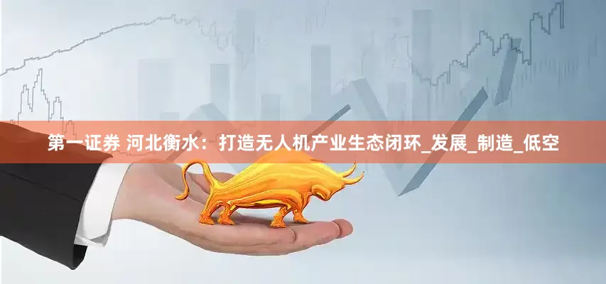 第一证券 河北衡水：打造无人机产业生态闭环_发展_制造_低空