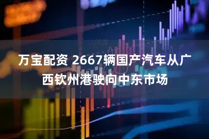 万宝配资 2667辆国产汽车从广西钦州港驶向中东市场
